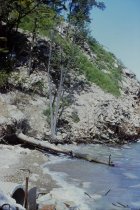 Debris on Bluff Road bluff